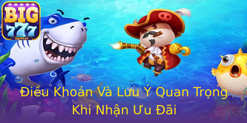 Điều Khoản Và Lưu Ý Quan Trọng Khi Nhận Ưu Đãi Điều Khoản Và Lưu Ý Quan Trọng Khi Nhận Ưu Đãi