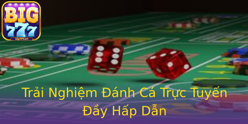 Trải Nghiệm Đánh Cá Trực Tuyến Đầy Hấp Dẫn Trải Nghiệm Đánh Cá Trực Tuyến Đầy Hấp Dẫn