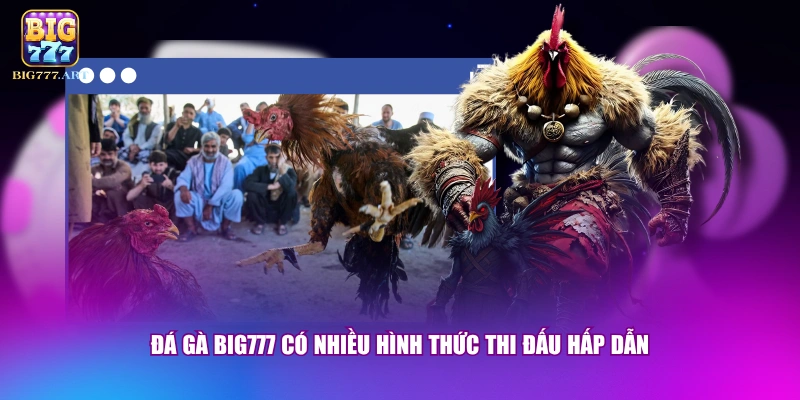 Đá gà BIG777 có nhiều hình thức thi đấu hấp dẫn