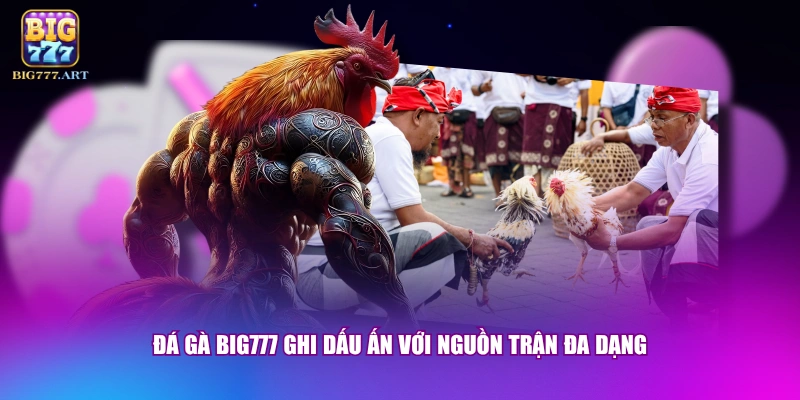 Đá gà BIG777 ghi dấu ấn với nguồn trận đa dạng